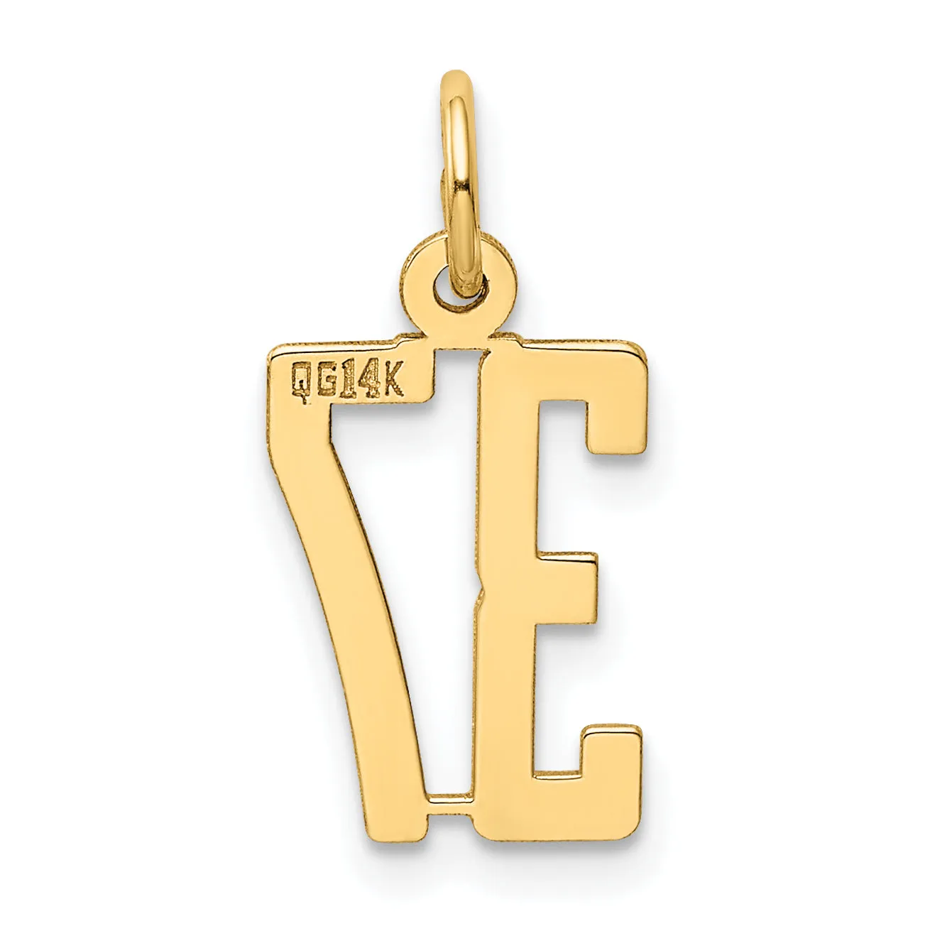 14K Gold Polished Elongated Charm Small, Laser Cut, Themed