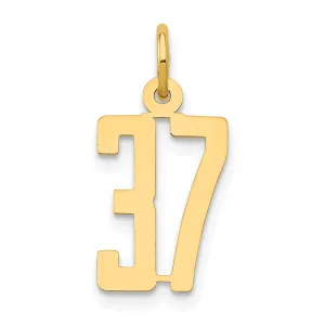 14K Gold Polished Elongated Charm Small, Laser Cut, Themed