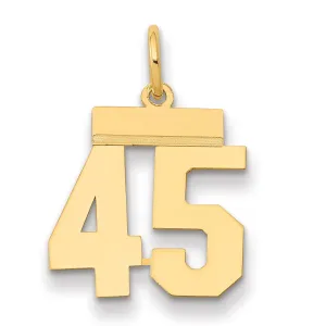 14K Gold Polished Number 45 Charm Laser Cut Small