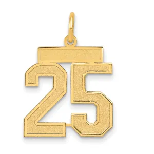 14K Gold Satin Finish Number 25 Charm in Brushed Medium Design