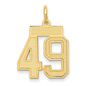 14K Gold Satin Number 49 Charm with Brushed Finish Small