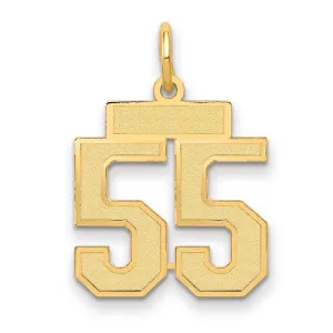 14K Gold Satin Number 55 Charm with Brushed Finish Small