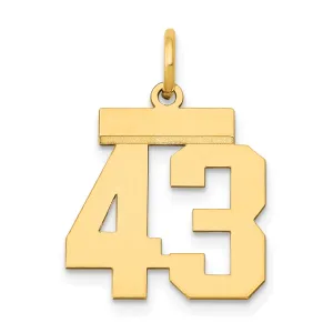 14K Gold Small Polished Number 43 Charm Laser Cut Yellow Gold Theme