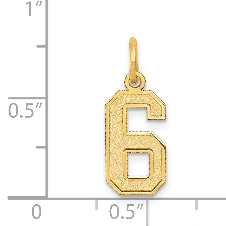 14K Gold Small Satin Number 6 Charm with Brushed Finish
