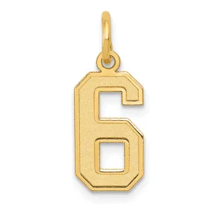 14K Gold Small Satin Number 6 Charm with Brushed Finish