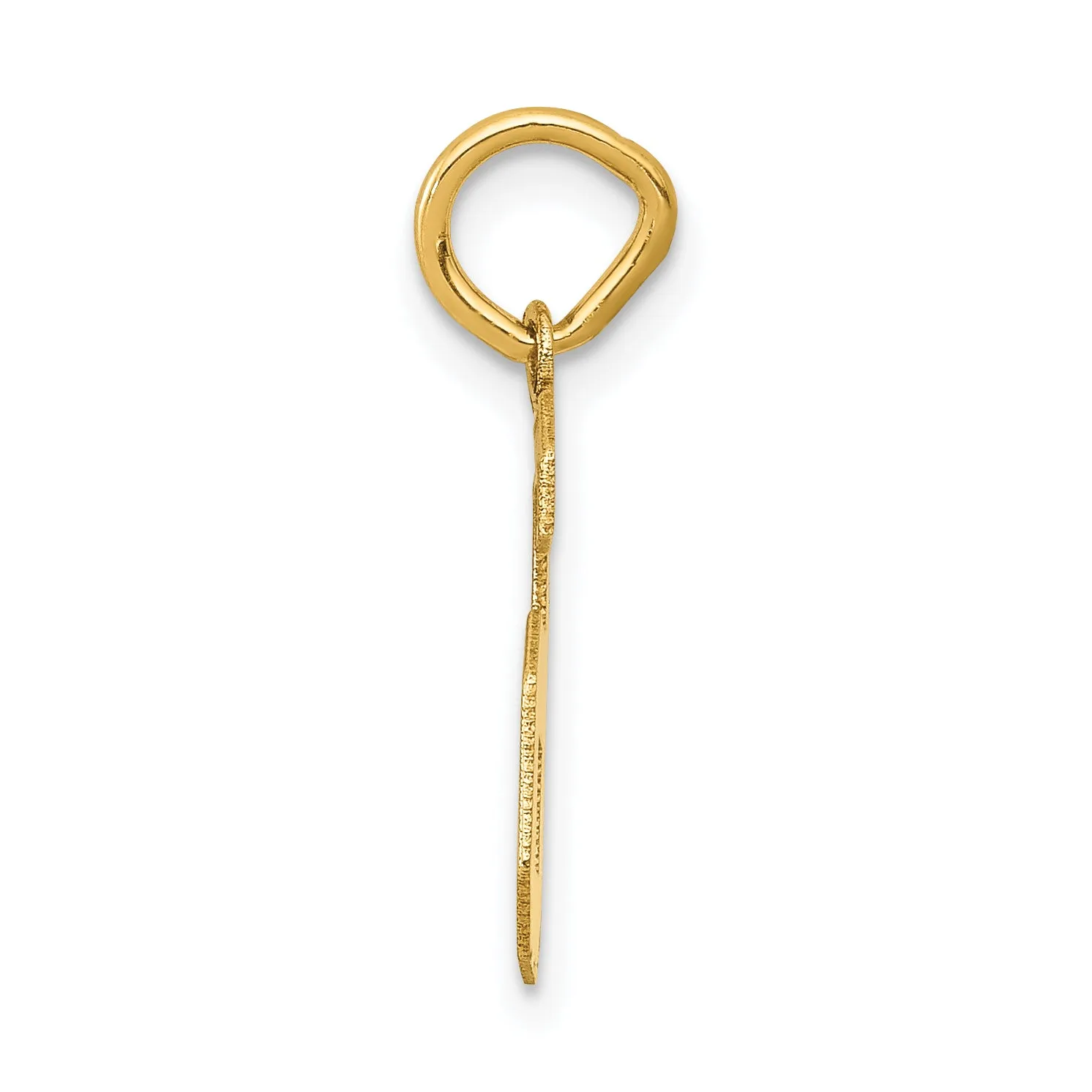 14K Gold Small Satin Number 6 Charm with Brushed Finish