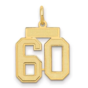 14K Gold Small Satin Number 60 Charm with Brushed Finish