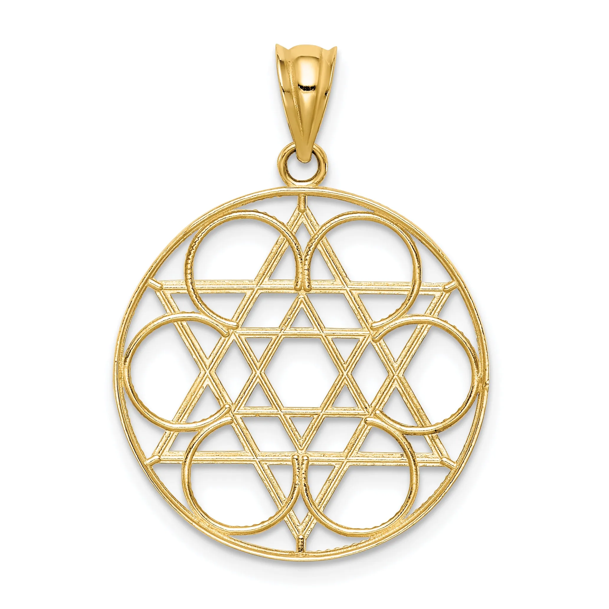 14K Gold Star of David Circle Pendant  Solid, Elegant Design by Sophia Jewelers