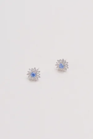 Blue & Silver Crystal Earrings