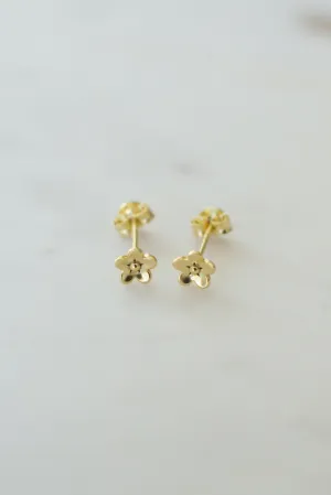 Daisy Day Stud - Gold