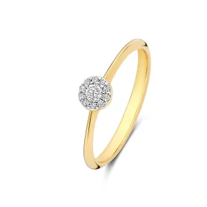 De la Paix Viviane 14 karat gold ring with diamond 0.06 carat