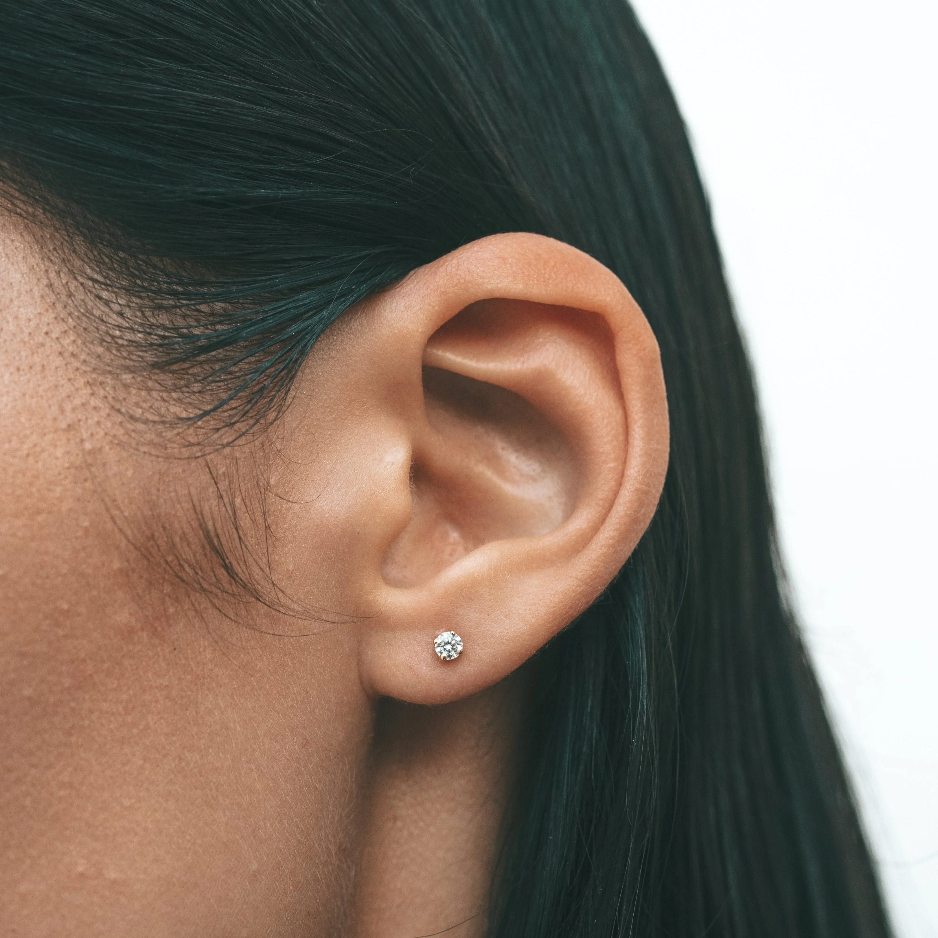 Inula studs