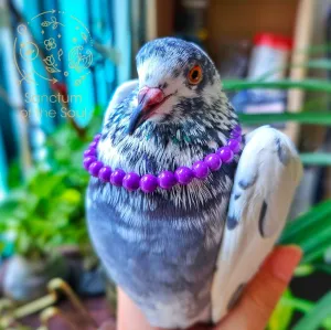 Phosphosiderite Bracelet