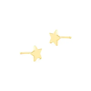Plain Star Stud Earrings