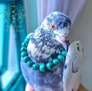 Premium Malachite Bracelet