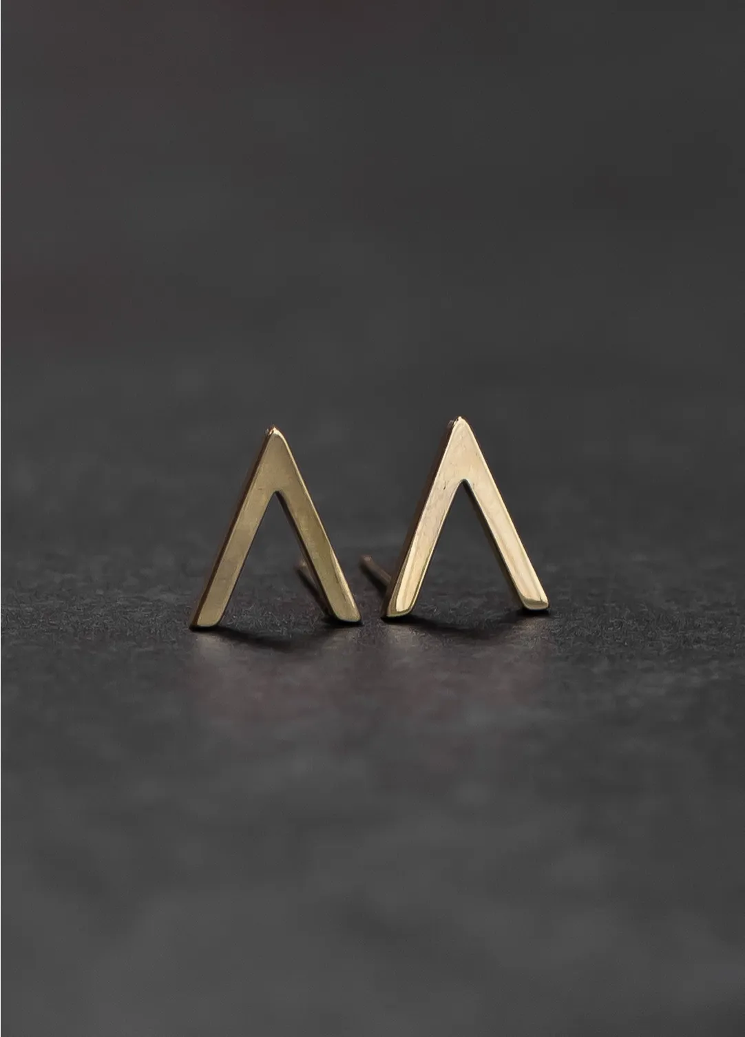V Stud Earrings